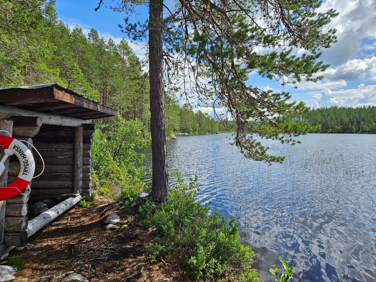 Ondtjärnen