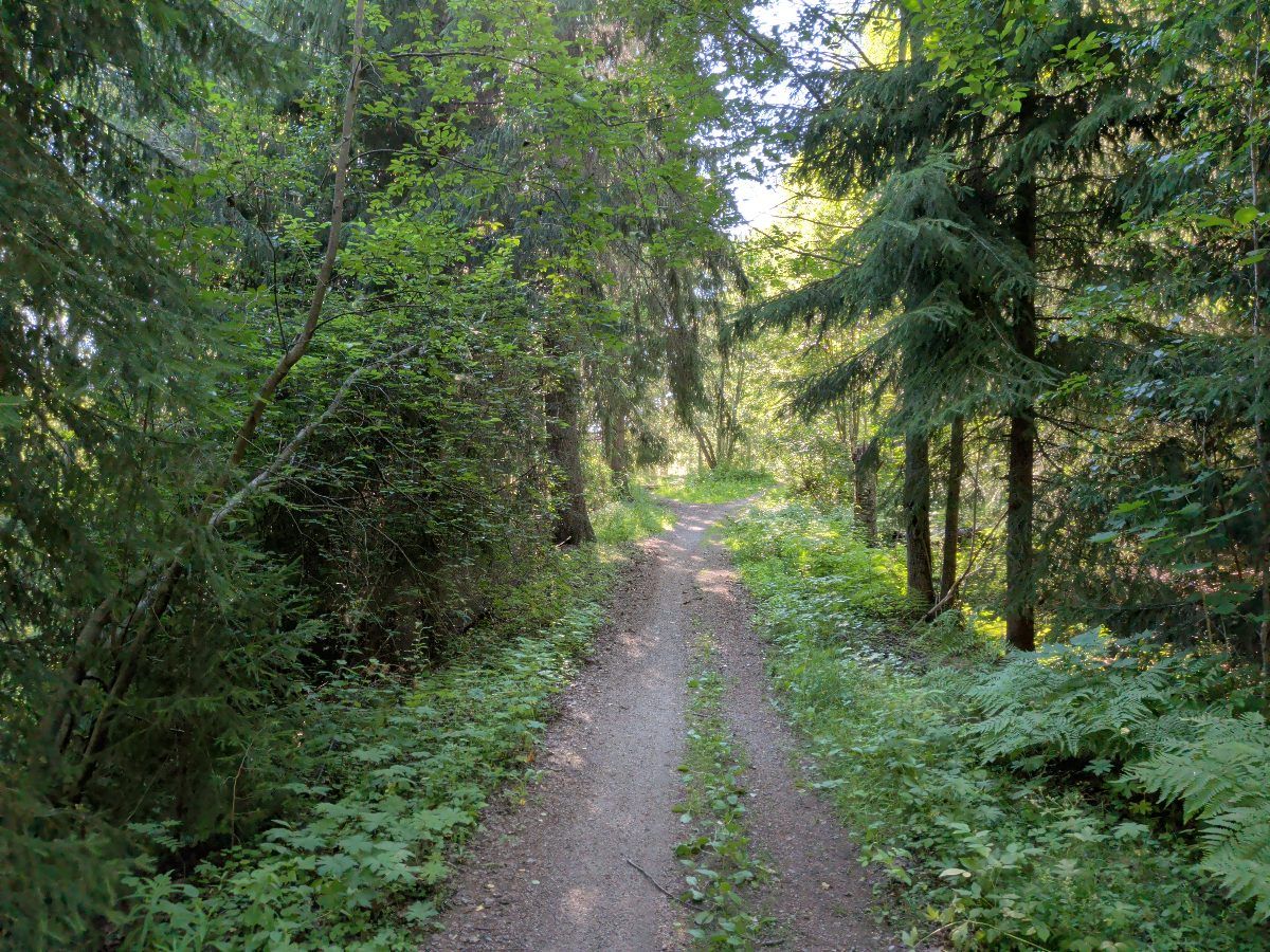 Genvägen