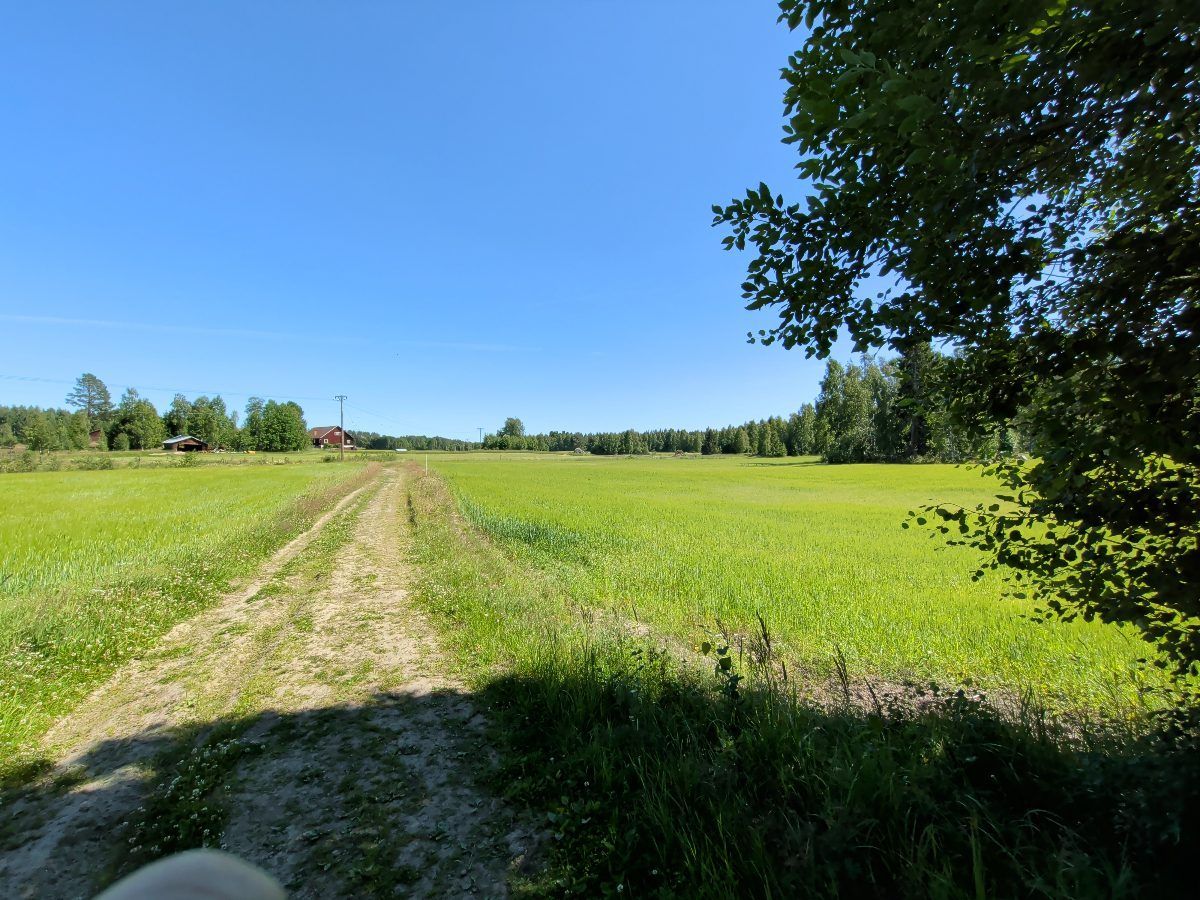 Lilla Fromsrundan