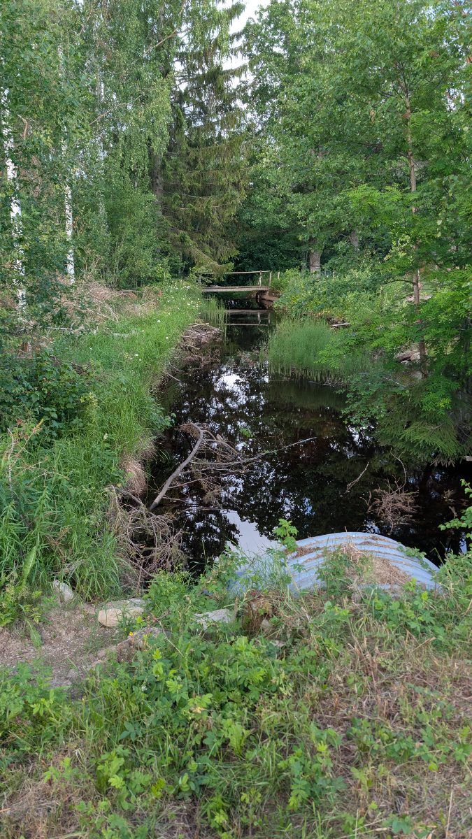 Partdammen
