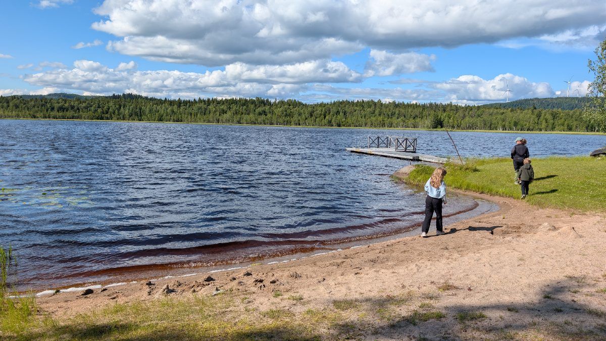 Flurtjärnen