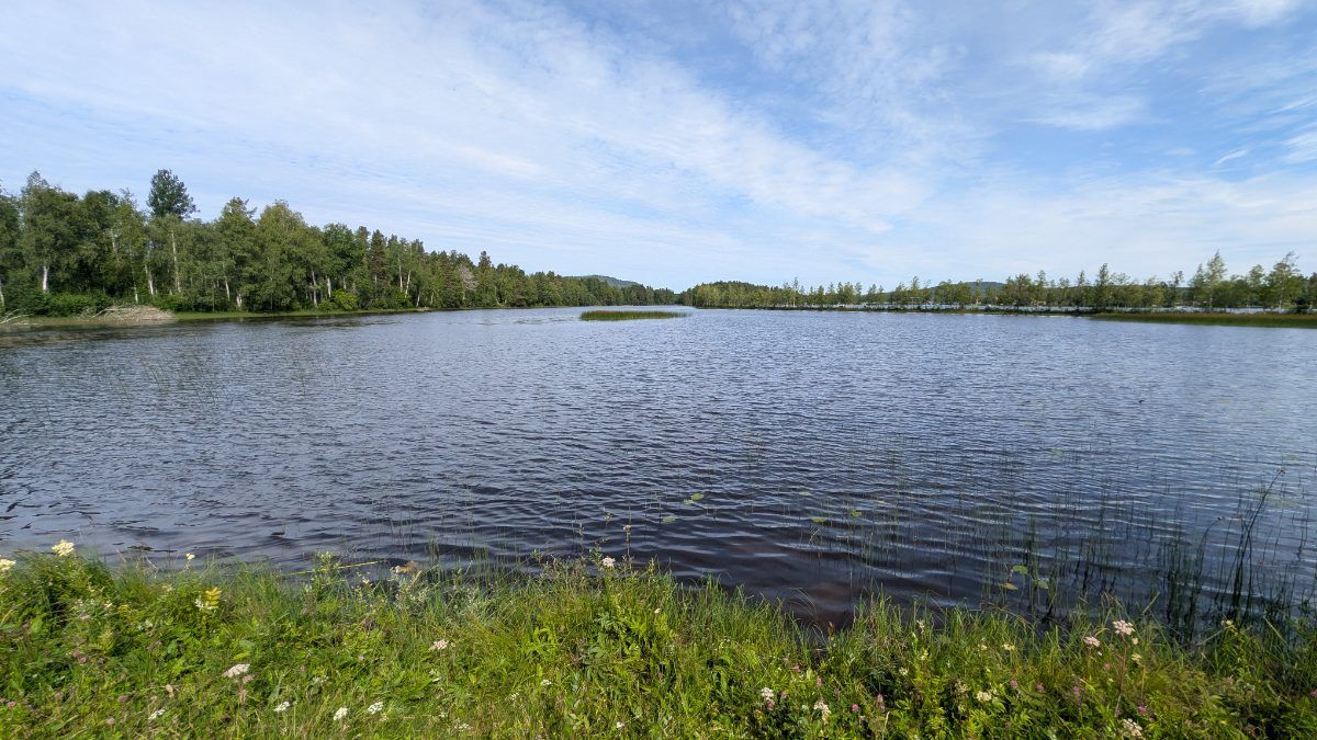 Sågdammen