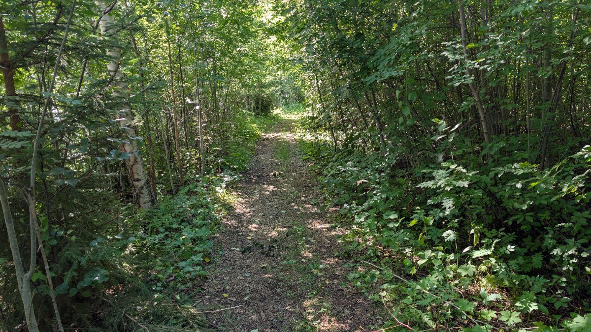 Älvstigen - Sågen - Pumphuset