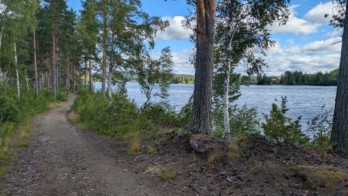 Älvstigen - björkallén - Vikikngvallen