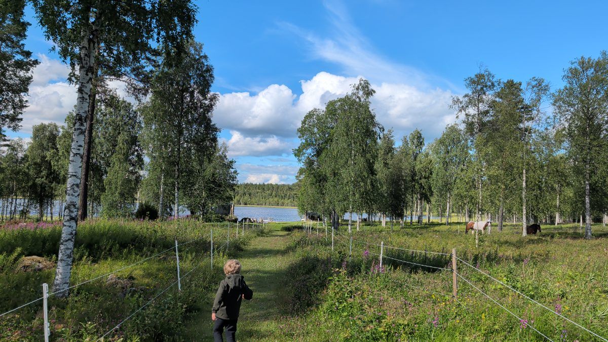 Stig till Flurtjänen