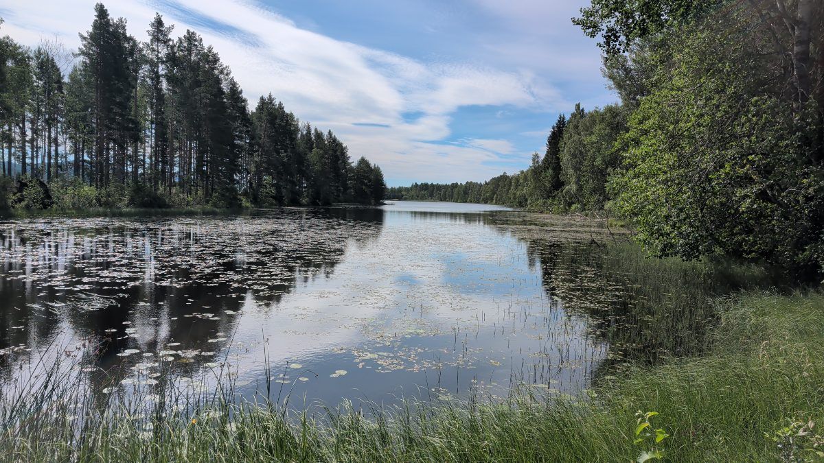 Älvstigen - Stigen