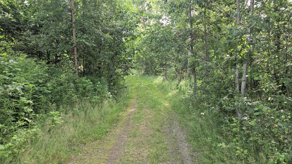 Stigen till vindskyddet